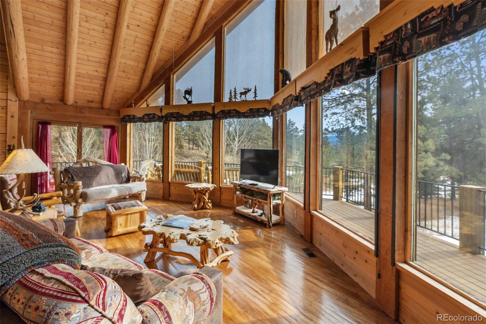 MLS Image #3 for 919  matterhorn drive,florissant, Colorado