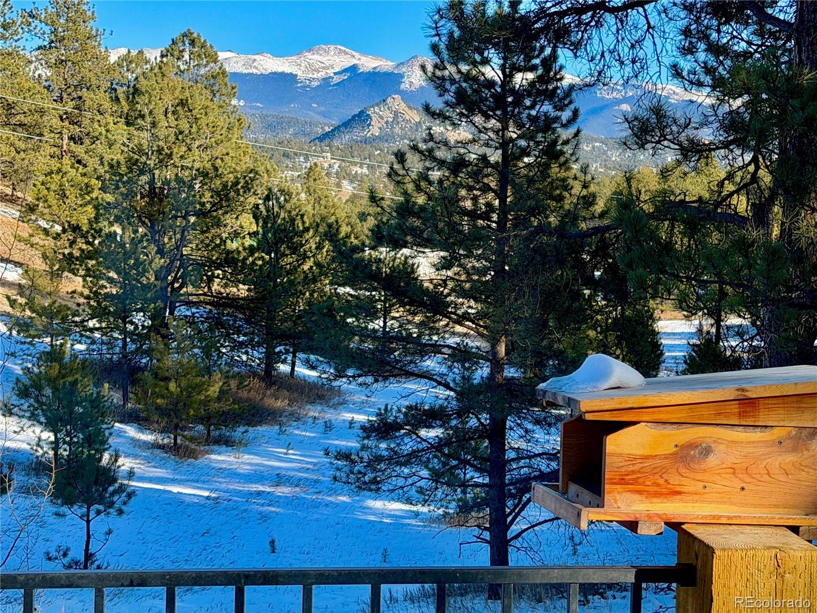 MLS Image #33 for 919  matterhorn drive,florissant, Colorado