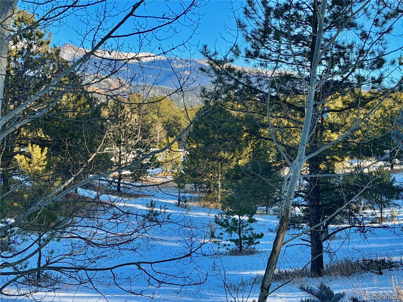MLS Image #34 for 919  matterhorn drive,florissant, Colorado