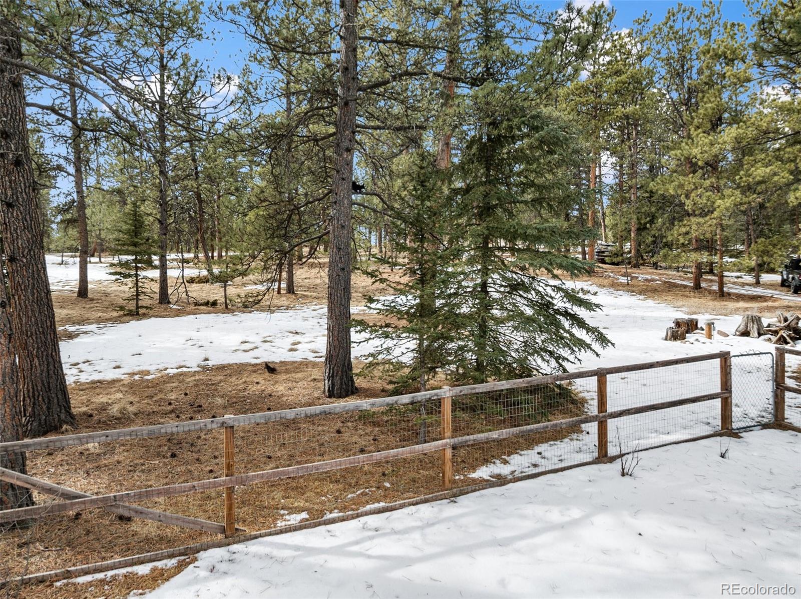 MLS Image #42 for 919  matterhorn drive,florissant, Colorado