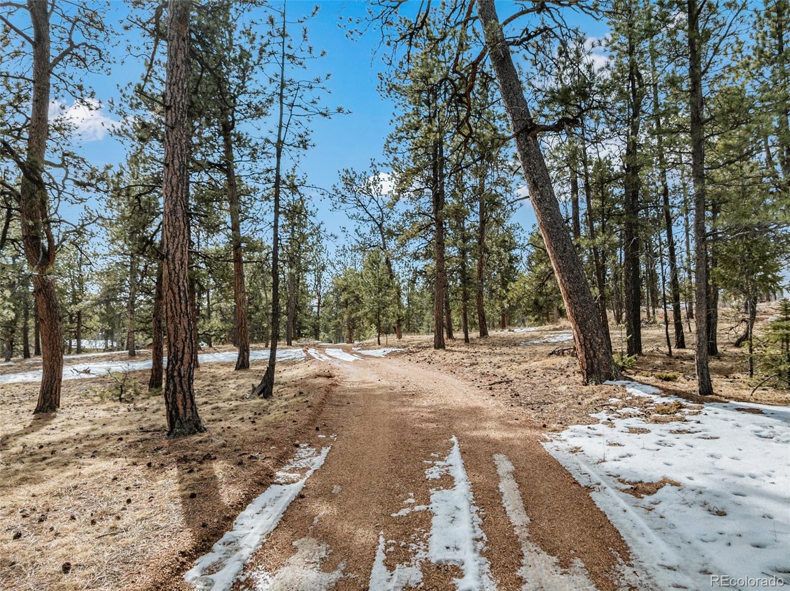 MLS Image #43 for 919  matterhorn drive,florissant, Colorado