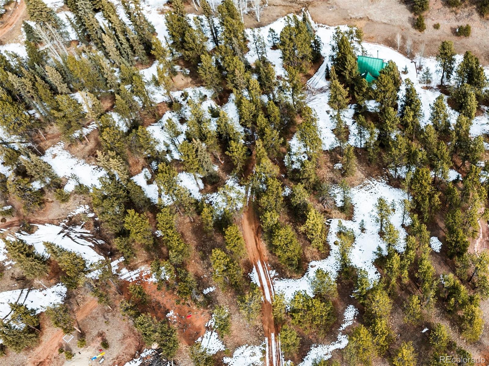 MLS Image #49 for 919  matterhorn drive,florissant, Colorado