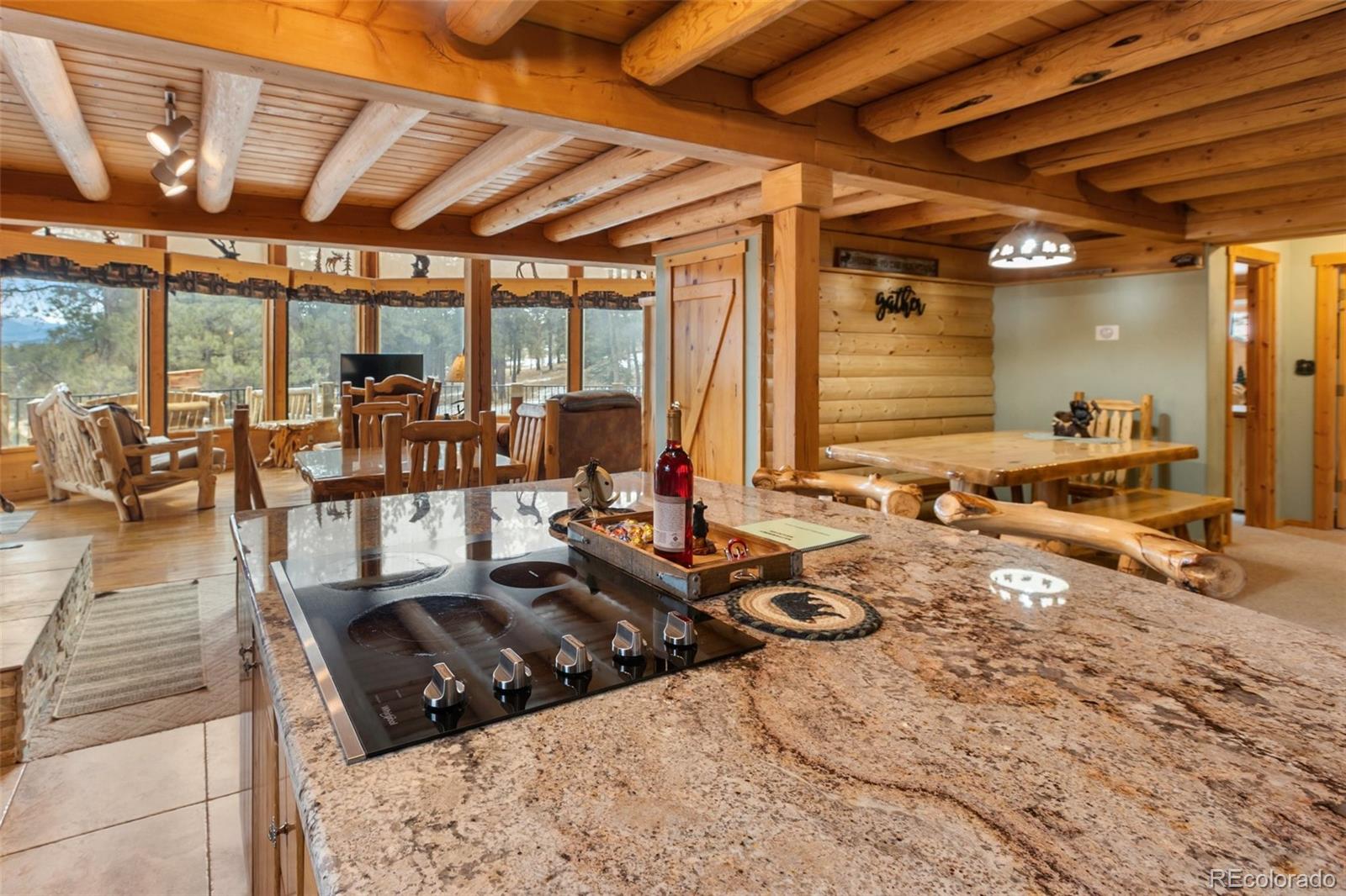MLS Image #8 for 919  matterhorn drive,florissant, Colorado