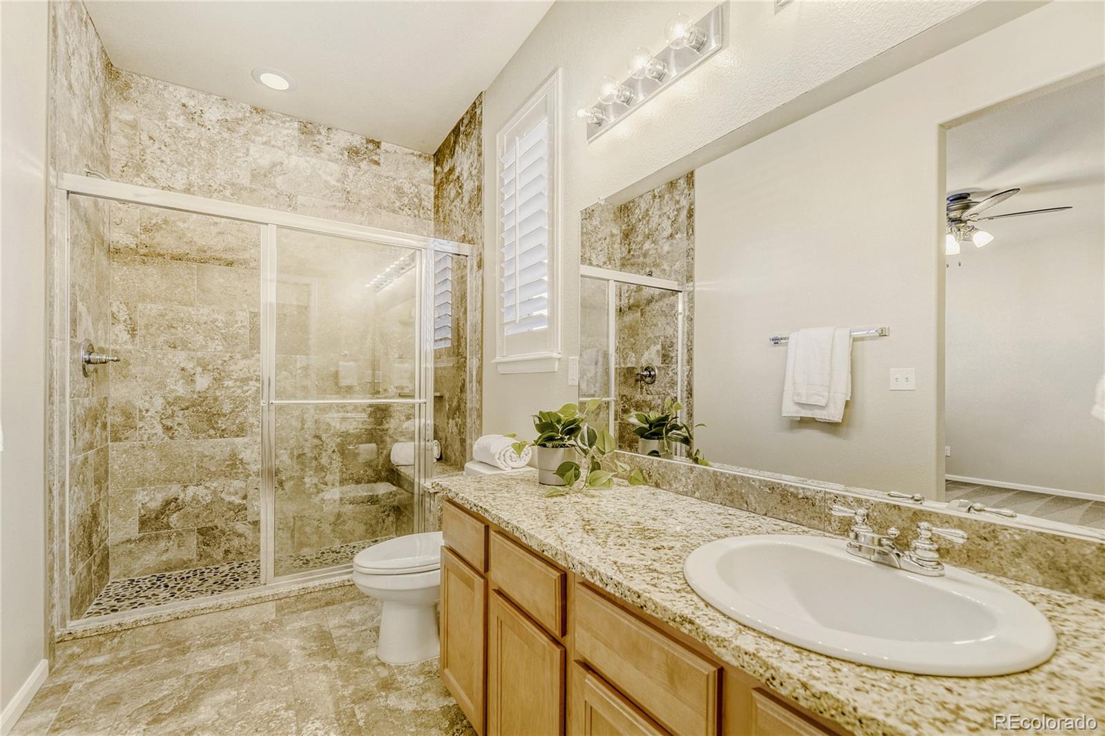 MLS Image #10 for 2931  open sky way,castle rock, Colorado
