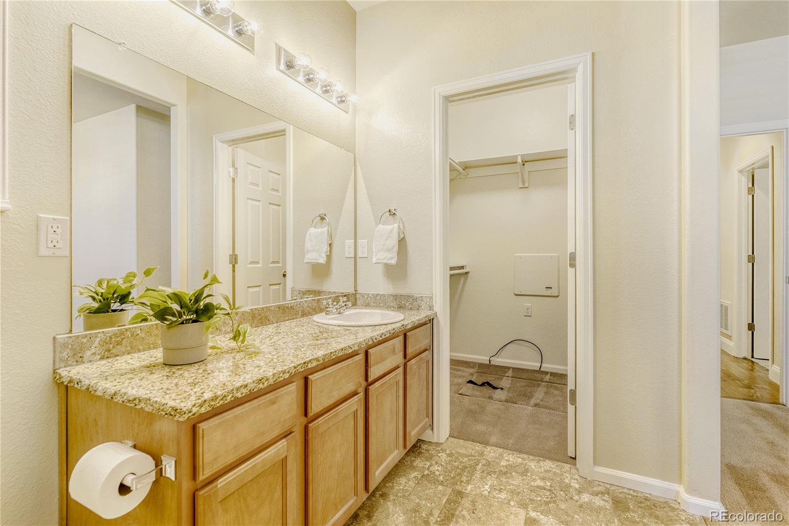 MLS Image #11 for 2931  open sky way,castle rock, Colorado