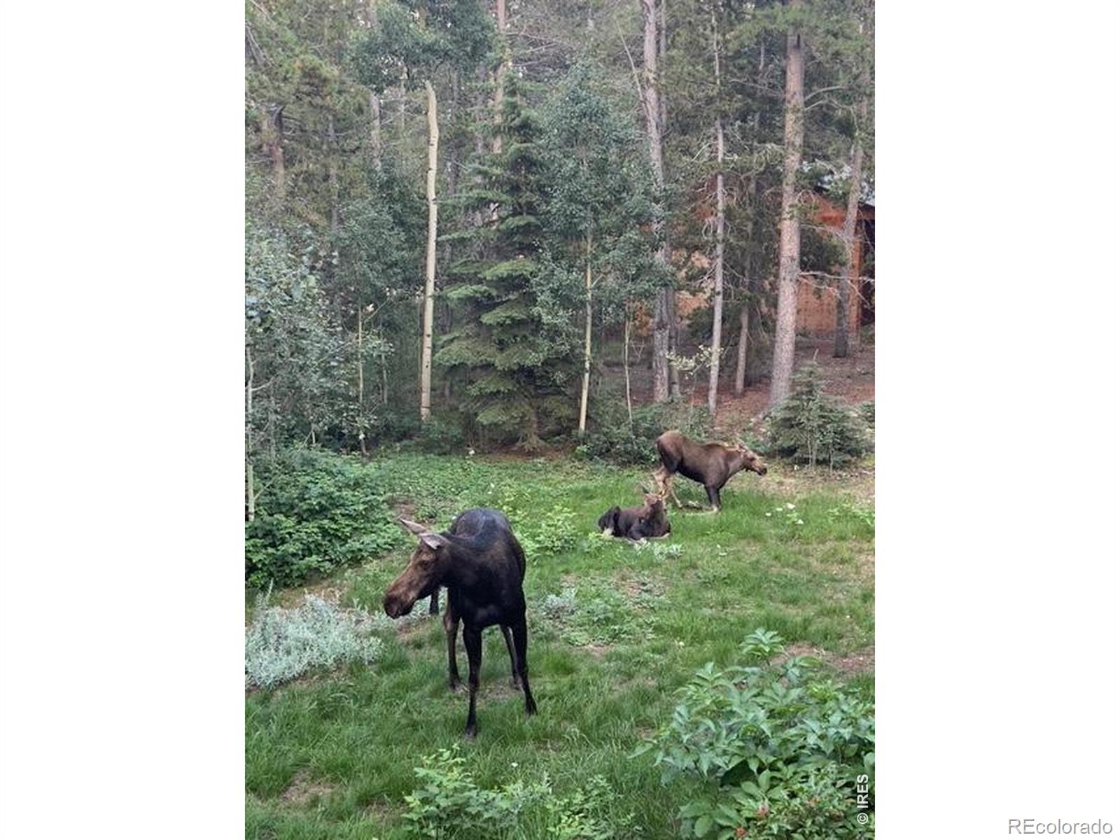 MLS Image #30 for 220  timber road,black hawk, Colorado