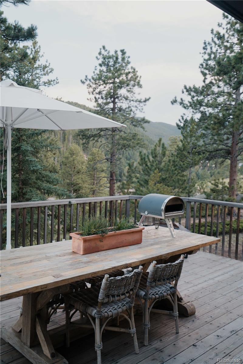 MLS Image #3 for 30776  burland road,golden, Colorado