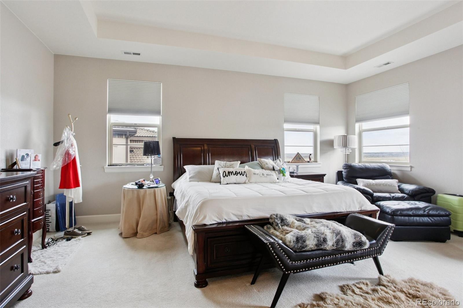 MLS Image #12 for 10560  ladera drive,lone tree, Colorado