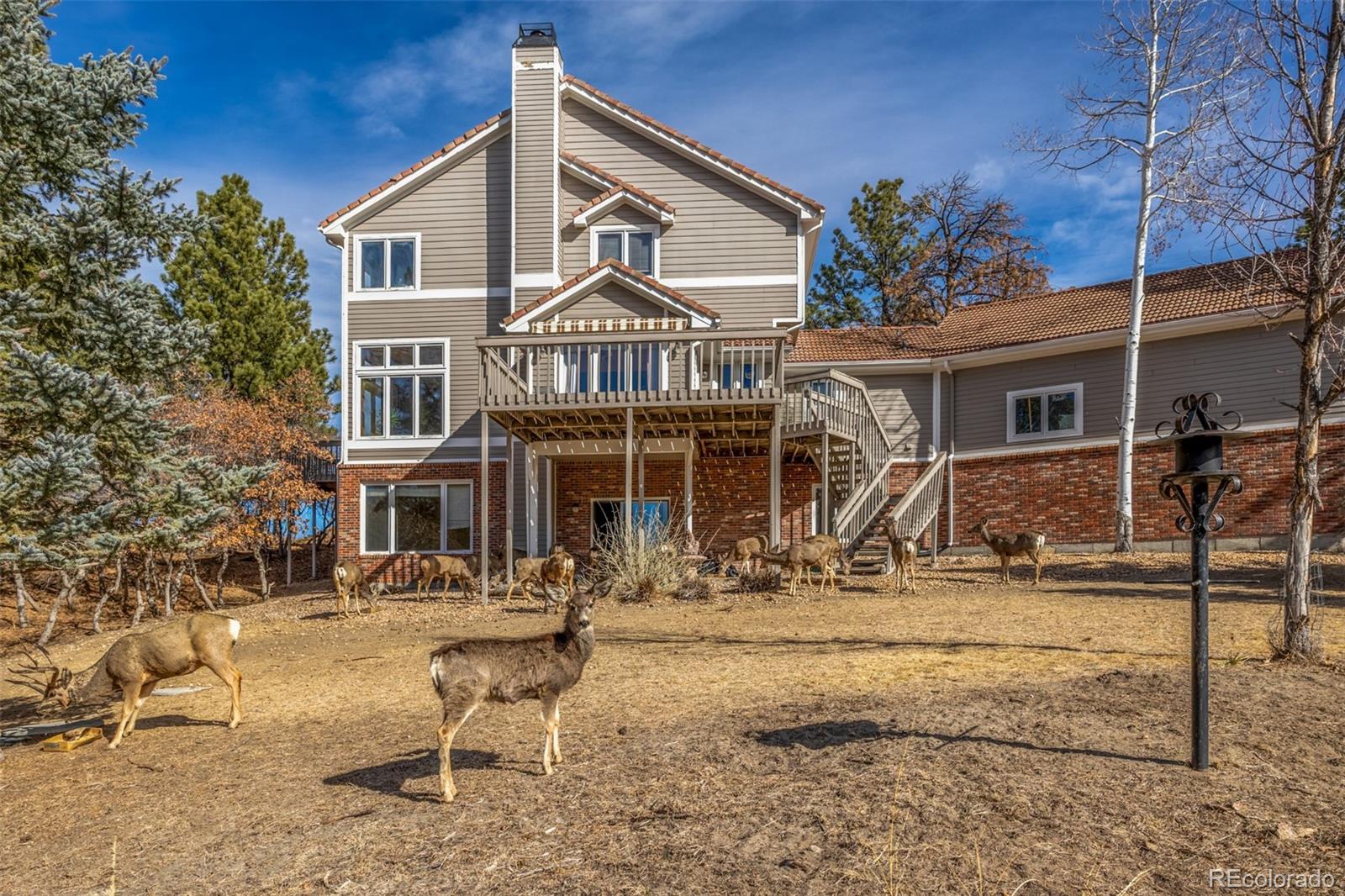 MLS Image #0 for 5953  angie court,parker, Colorado