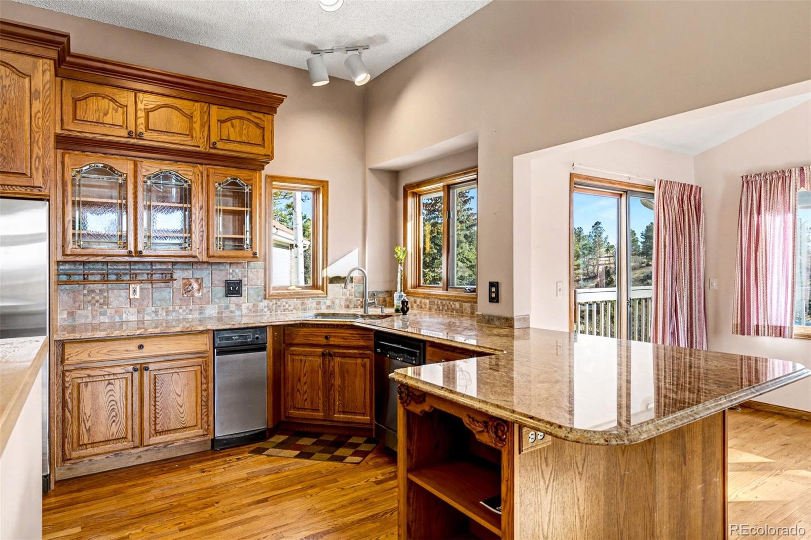 MLS Image #19 for 5953  angie court,parker, Colorado