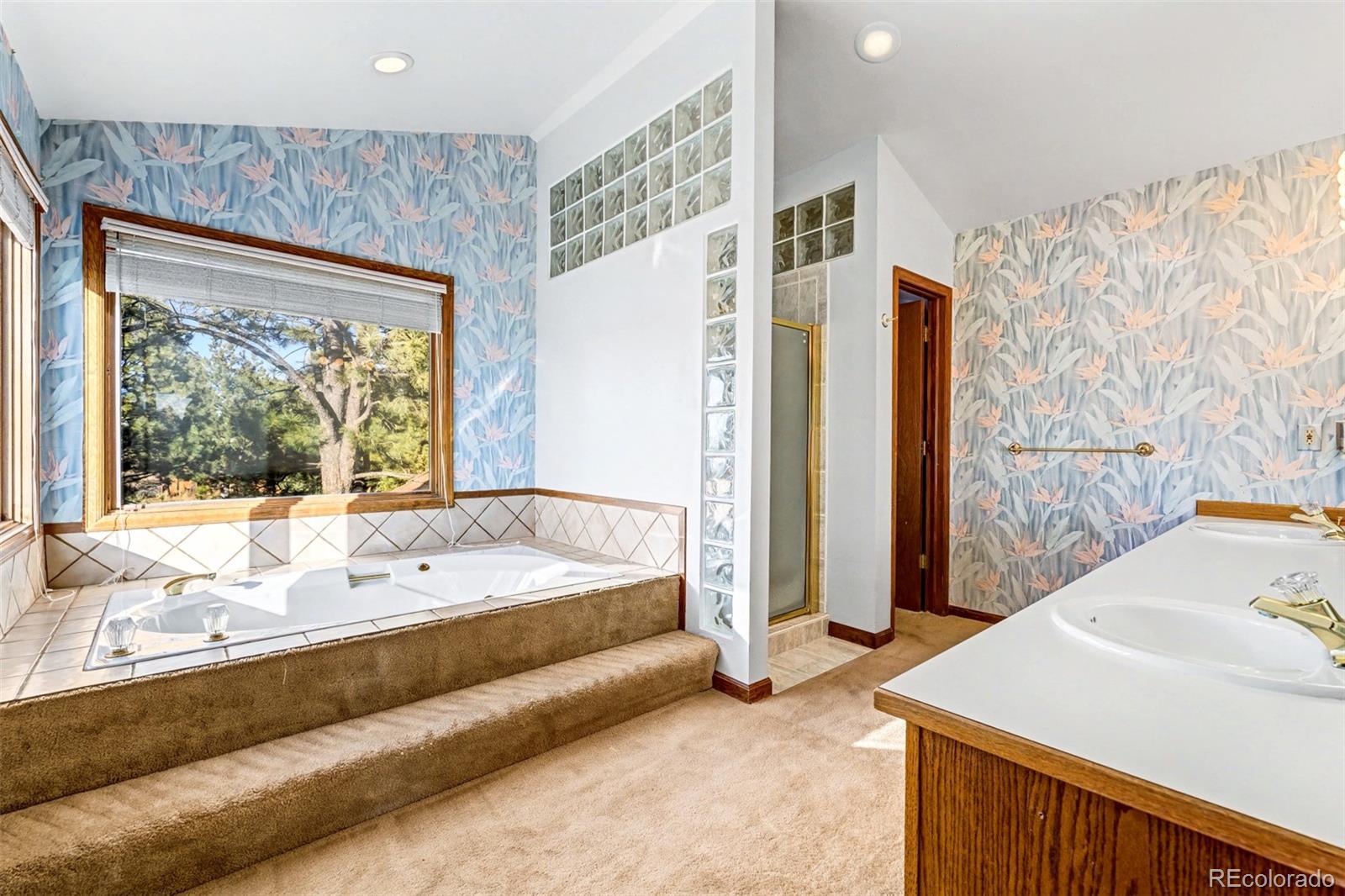 MLS Image #29 for 5953  angie court,parker, Colorado