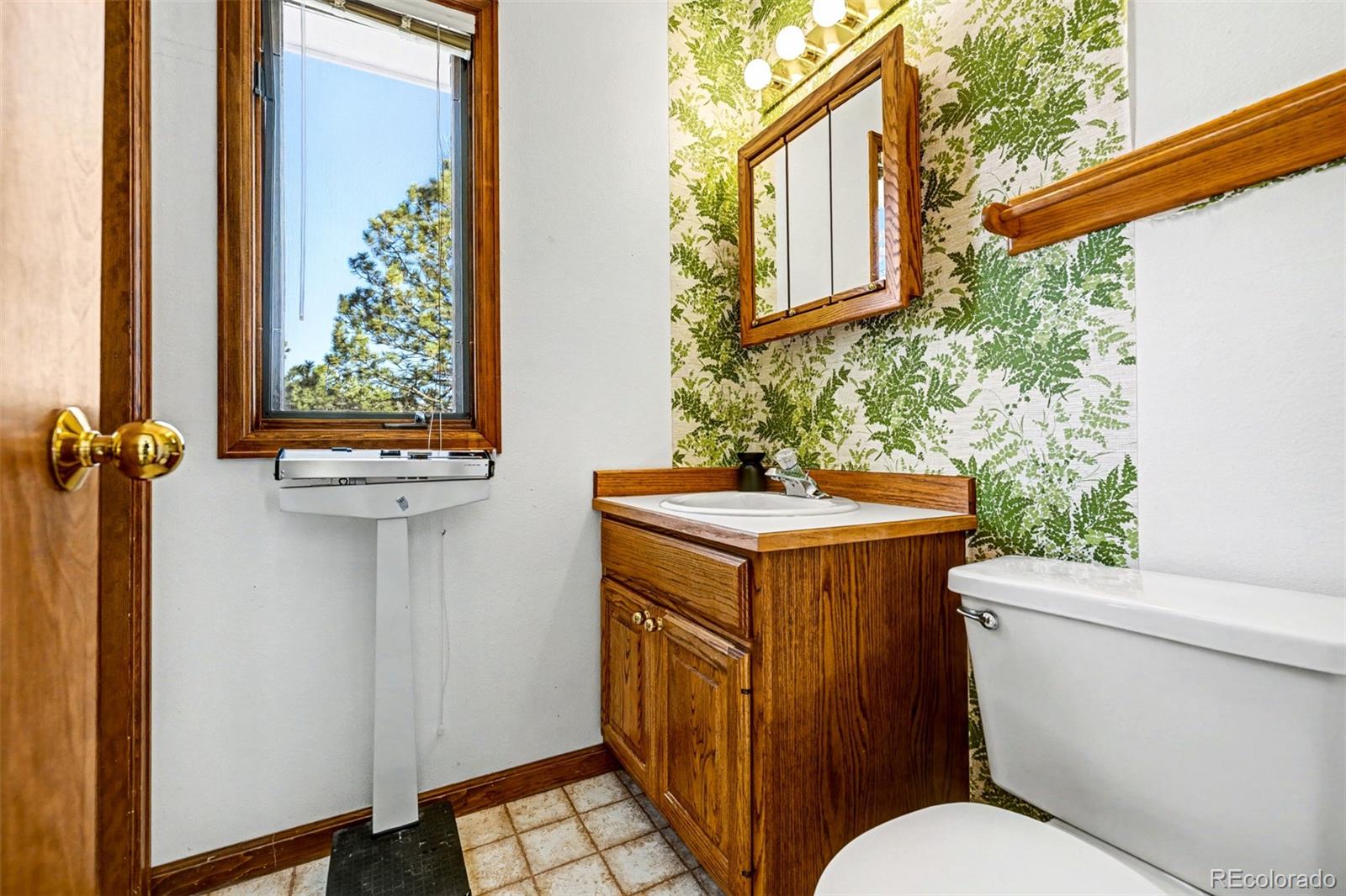 MLS Image #33 for 5953  angie court,parker, Colorado