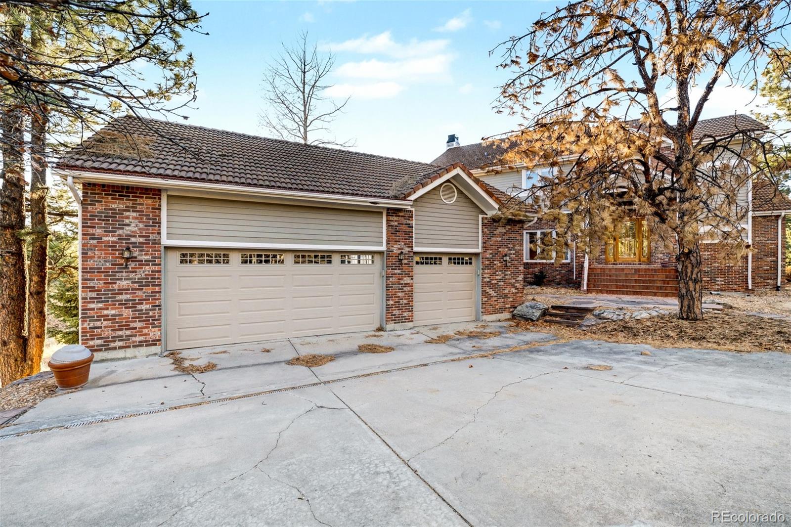 MLS Image #5 for 5953  angie court,parker, Colorado