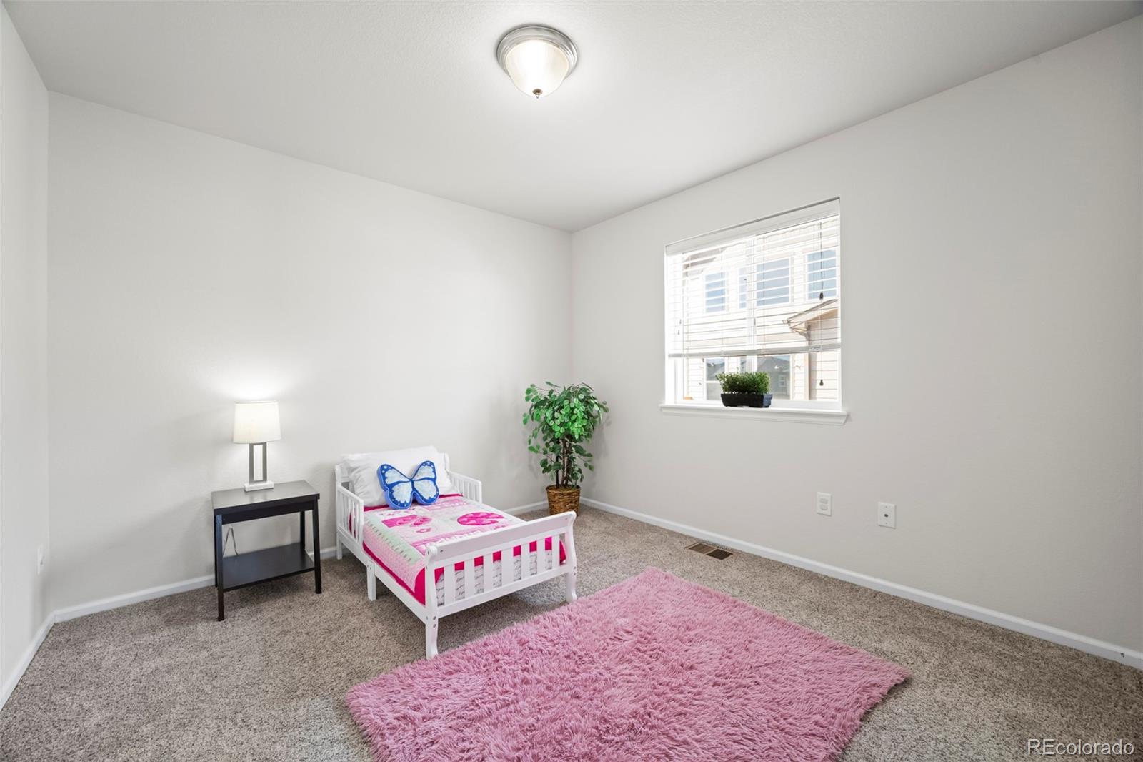 MLS Image #32 for 11195  cinch way,parker, Colorado