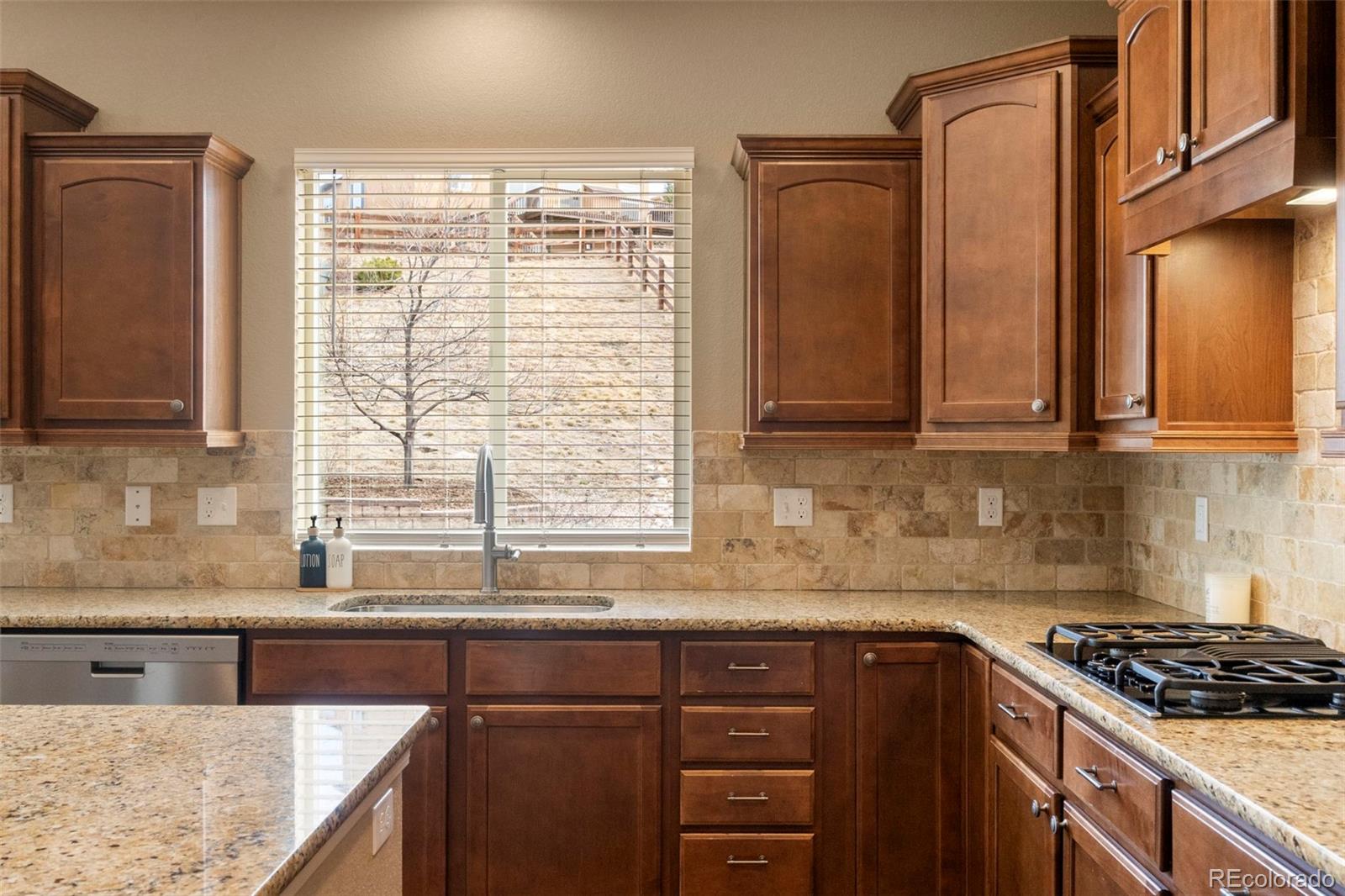MLS Image #12 for 15949  midland valley way,monument, Colorado