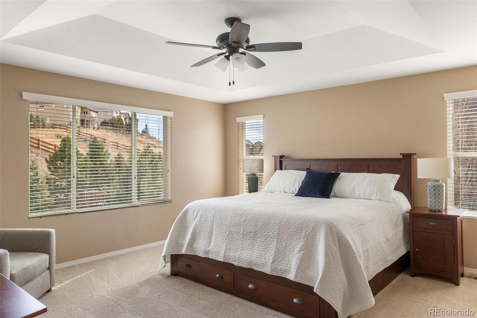 MLS Image #19 for 15949  midland valley way,monument, Colorado