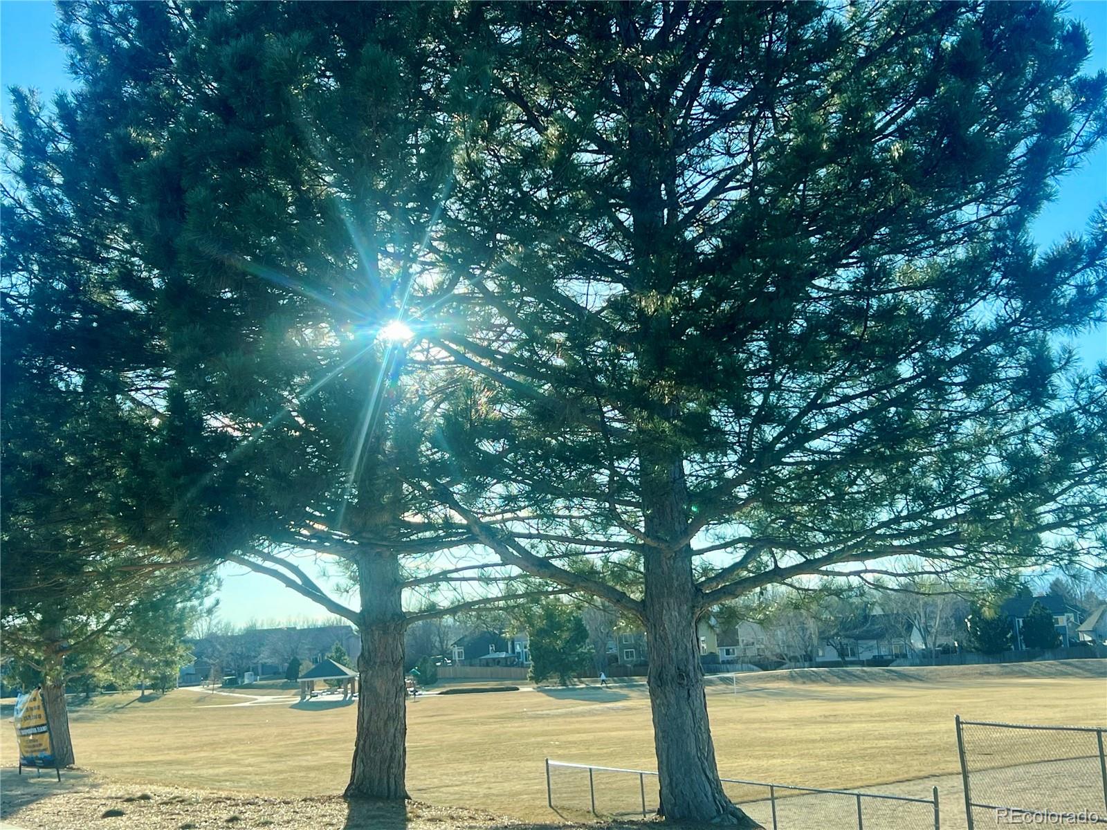 MLS Image #43 for 19418 e crestridge circle,centennial, Colorado