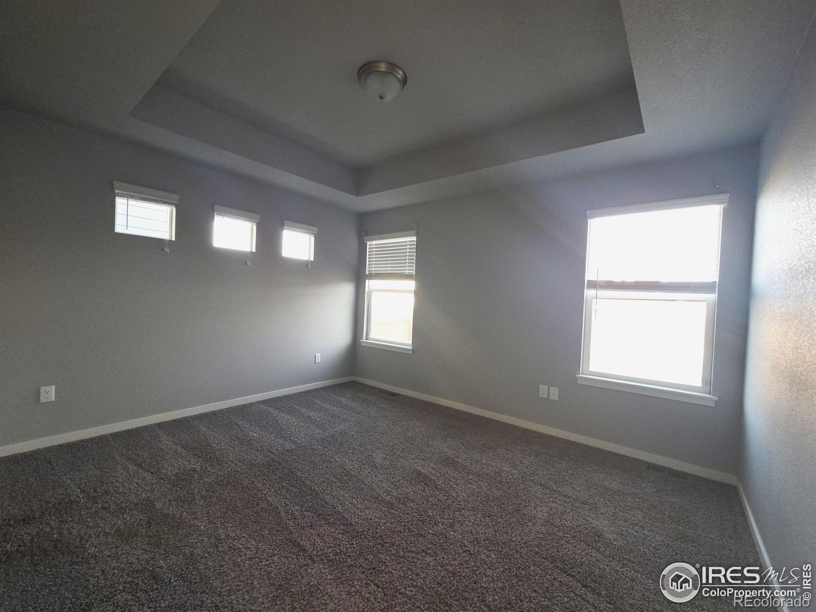 MLS Image #5 for 1203  bison way,wiggins, Colorado