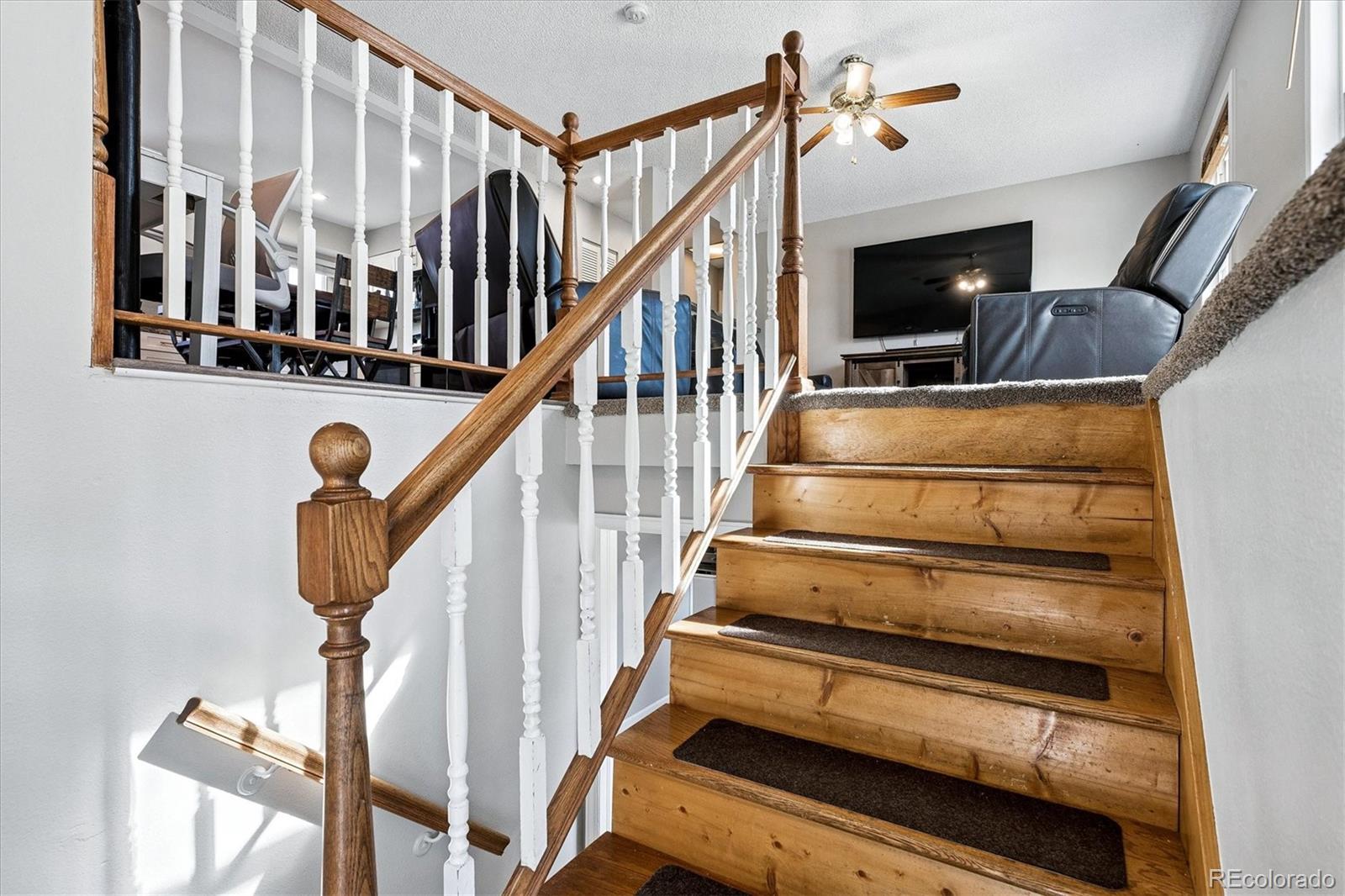 MLS Image #4 for 4590 s braun court,morrison, Colorado