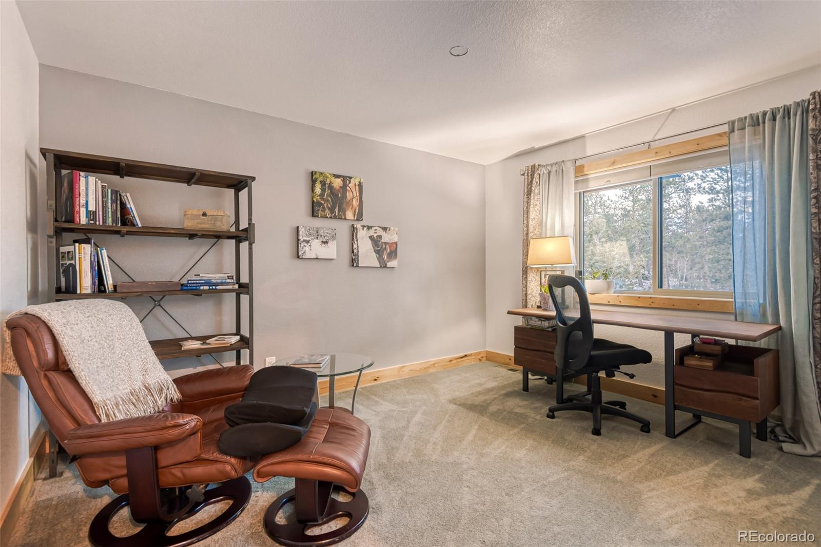 MLS Image #15 for 50  el lobo lane,bailey, Colorado
