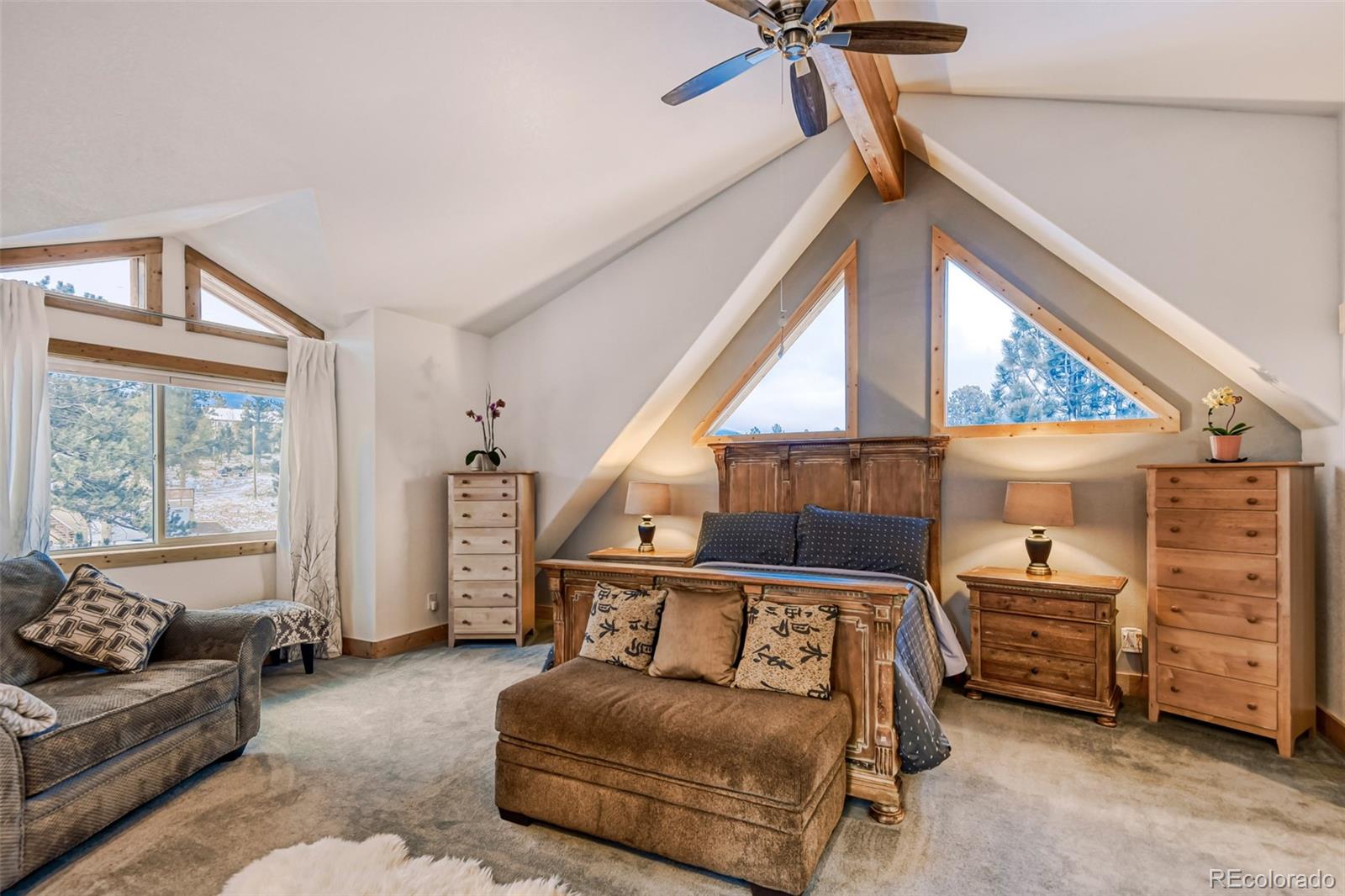 MLS Image #16 for 50  el lobo lane,bailey, Colorado