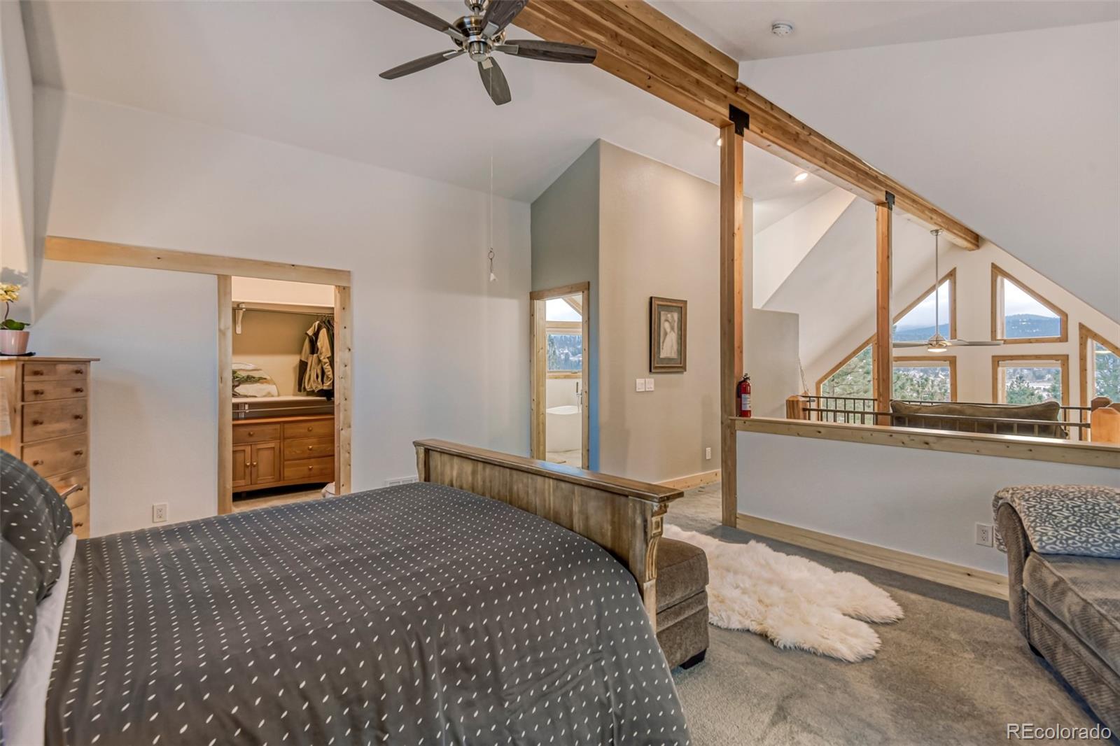 MLS Image #17 for 50  el lobo lane,bailey, Colorado