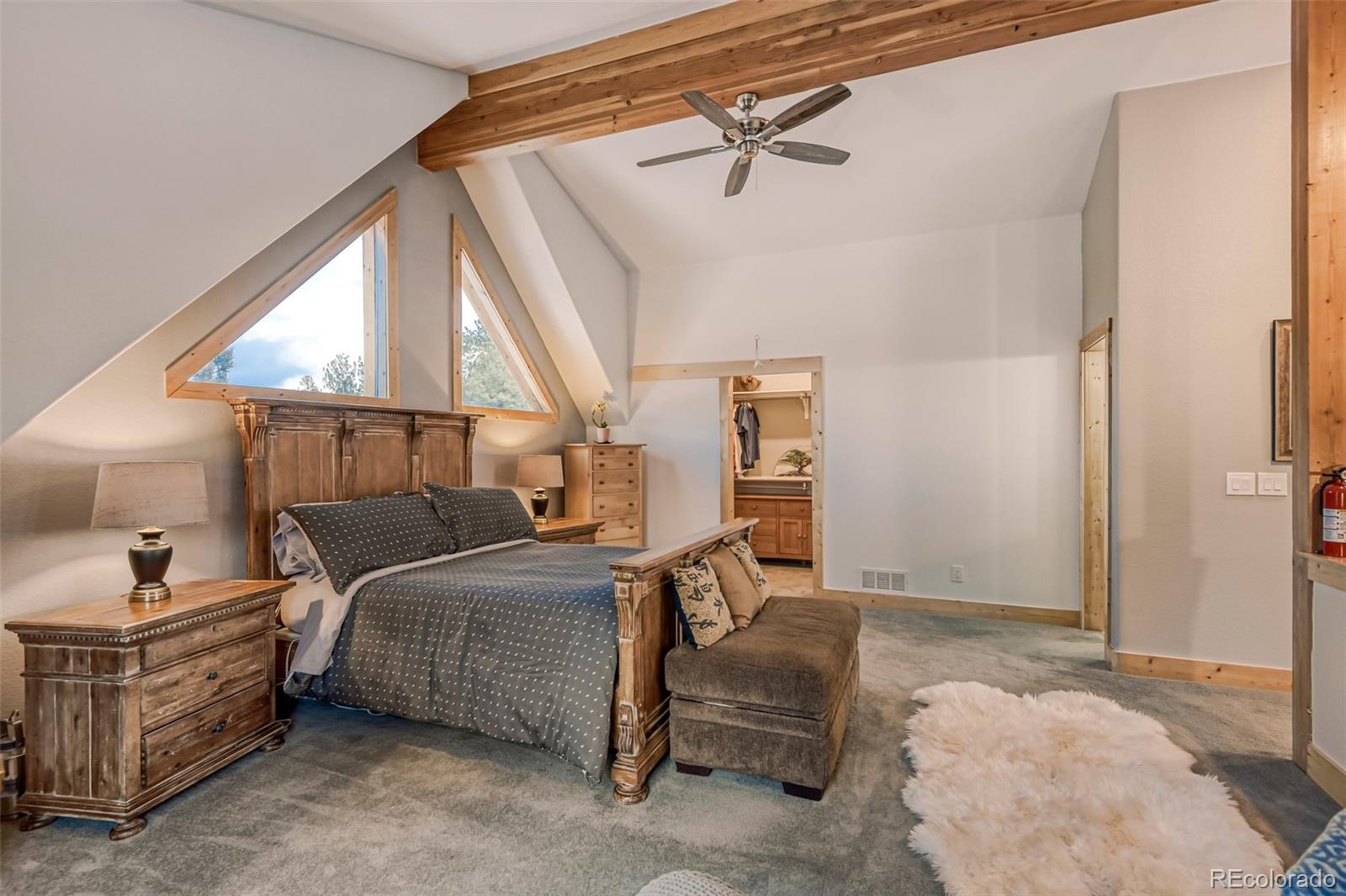 MLS Image #18 for 50  el lobo lane,bailey, Colorado
