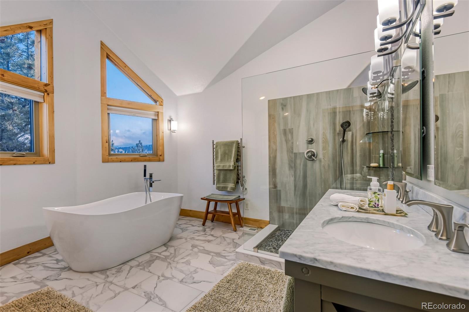 MLS Image #23 for 50  el lobo lane,bailey, Colorado
