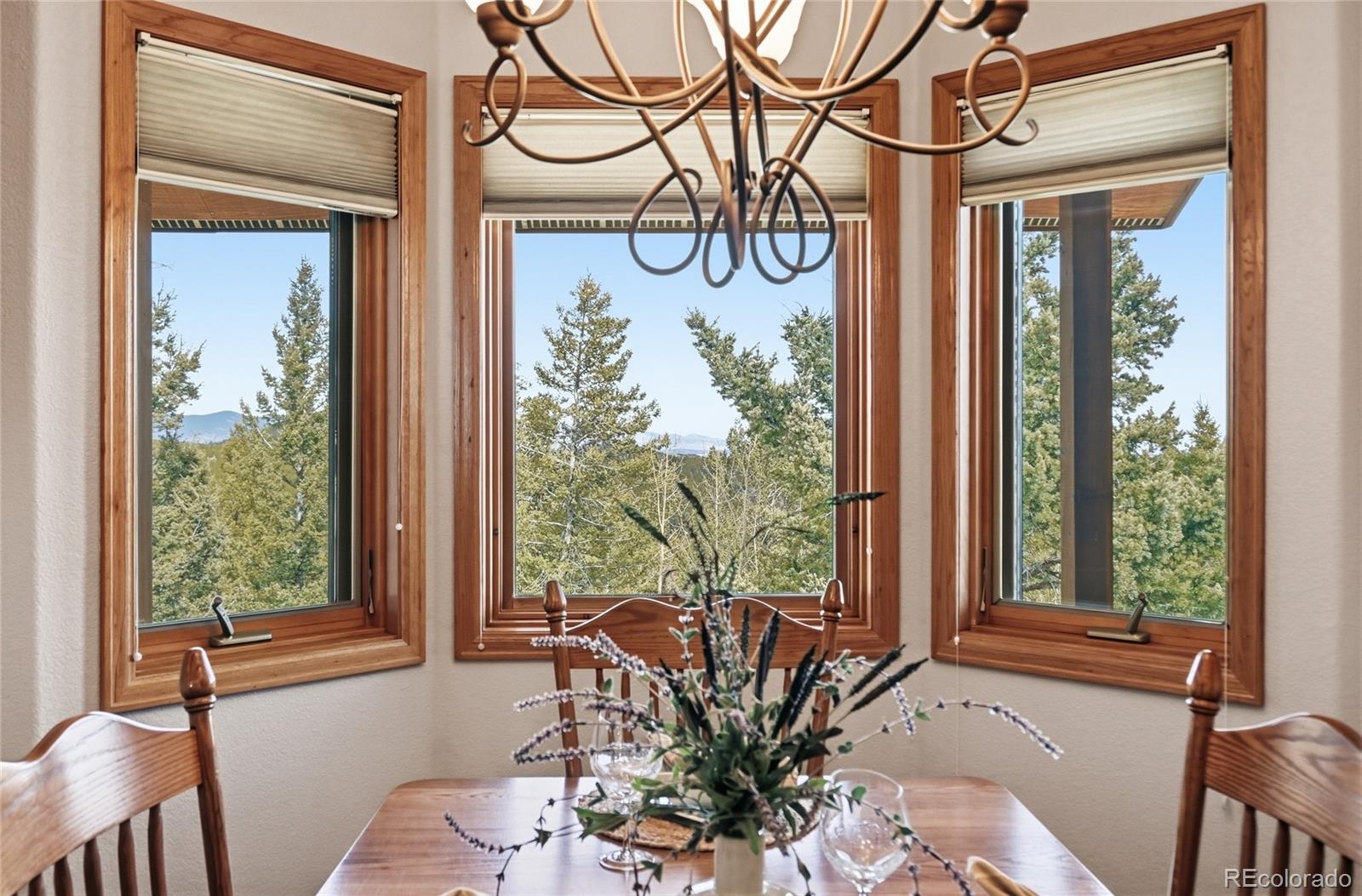 MLS Image #6 for 31842  steven way,conifer, Colorado