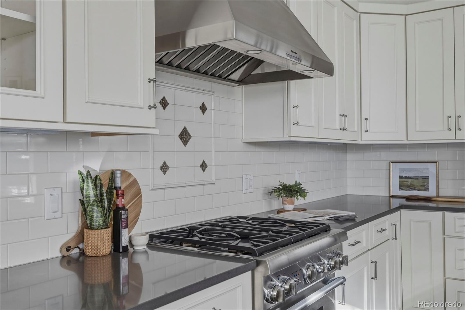 MLS Image #14 for 343  garfield street,denver, Colorado