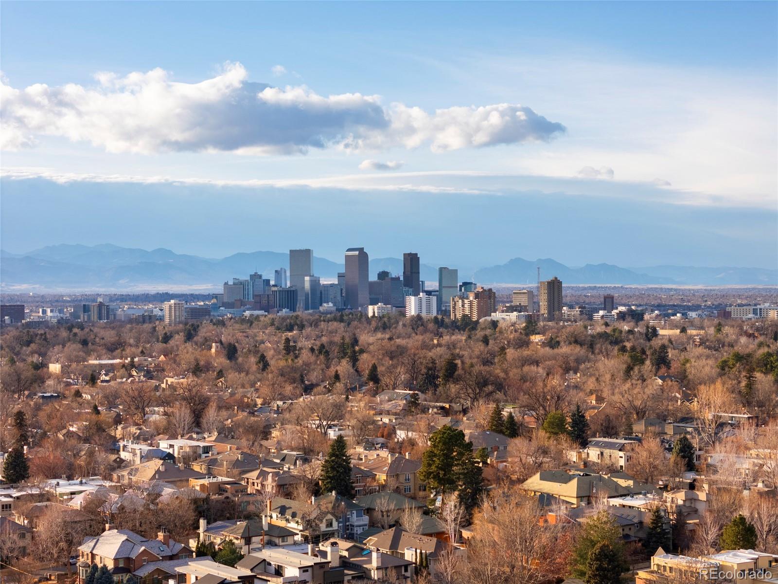 MLS Image #46 for 343  garfield street,denver, Colorado