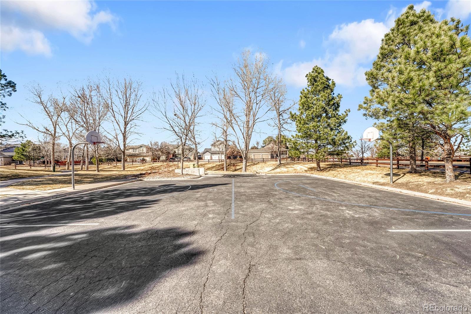 MLS Image #41 for 16230  martingale drive,parker, Colorado