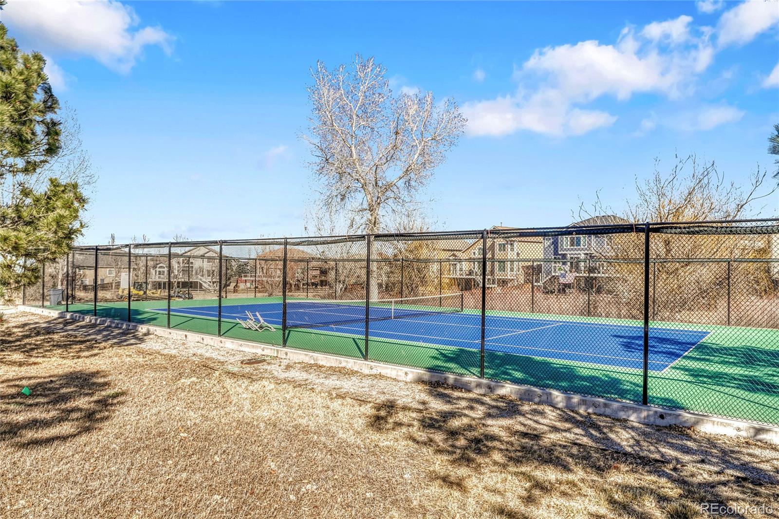 MLS Image #42 for 16230  martingale drive,parker, Colorado