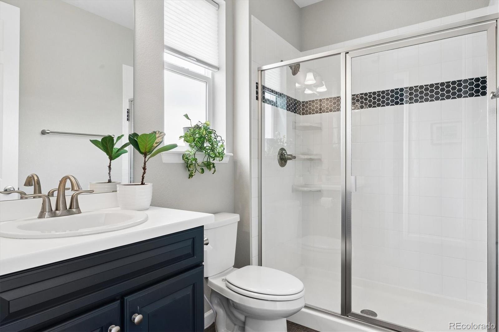MLS Image #3 for 8006  blue river avenue,littleton, Colorado