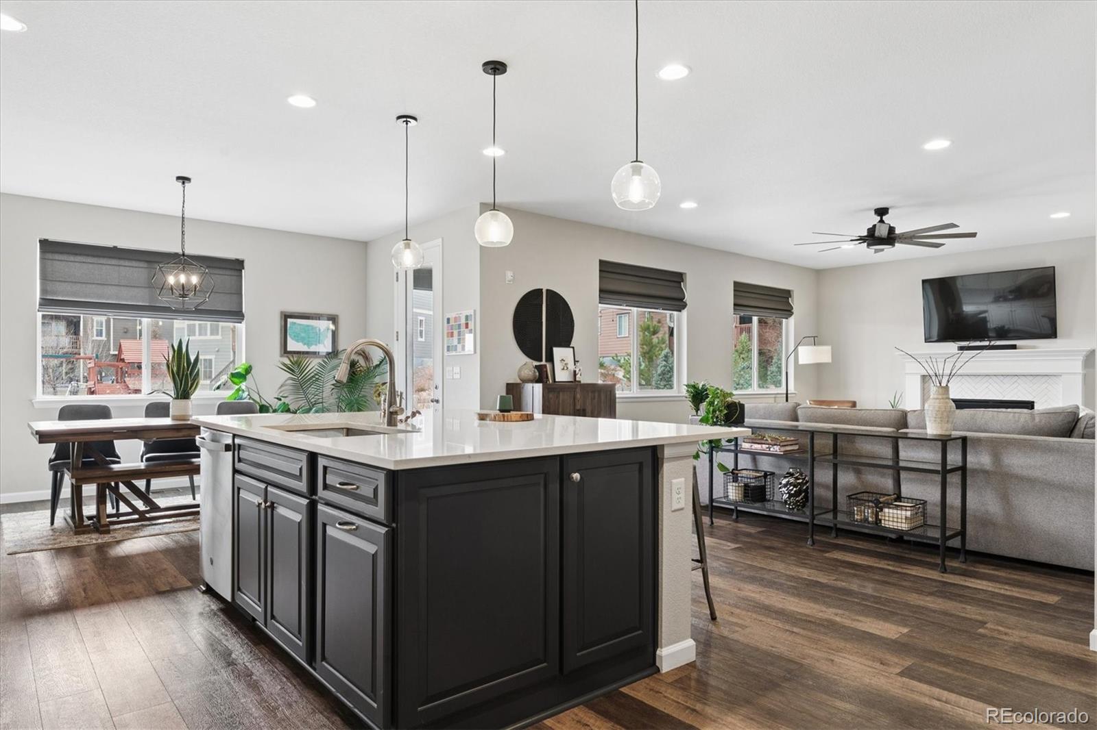 MLS Image #8 for 8006  blue river avenue,littleton, Colorado