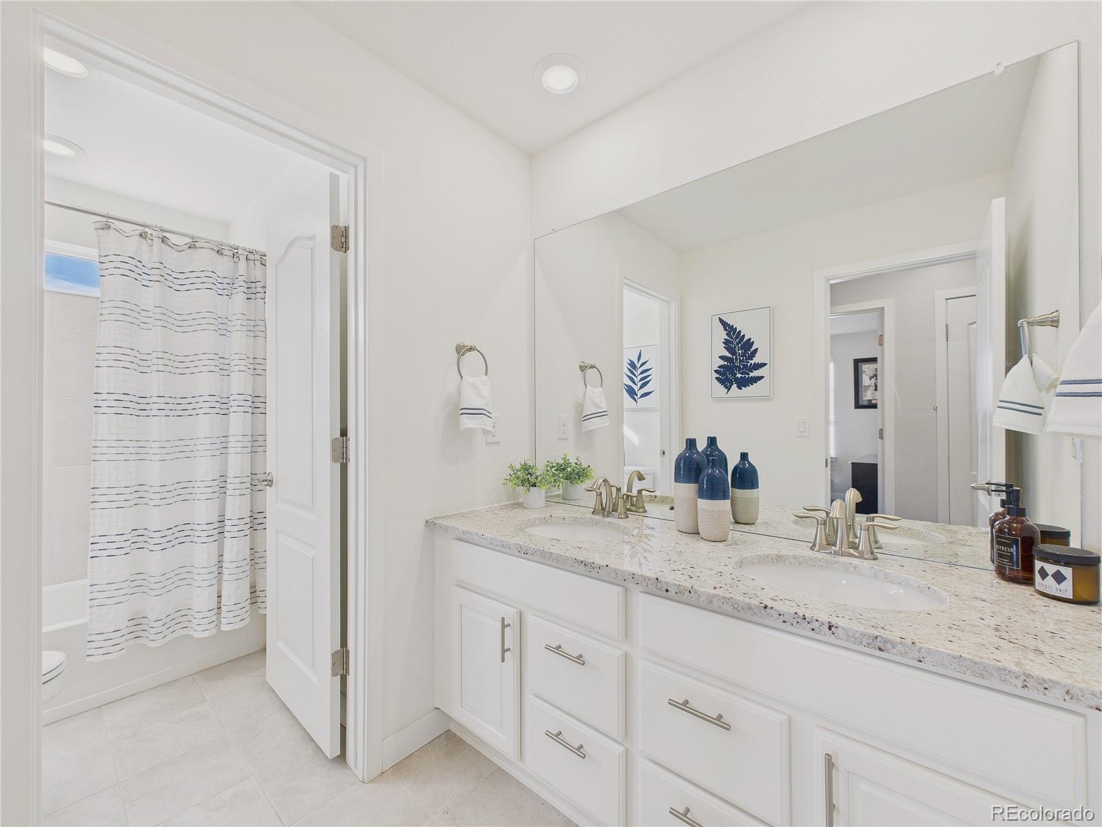 MLS Image #10 for 16031  azalea avenue,parker, Colorado