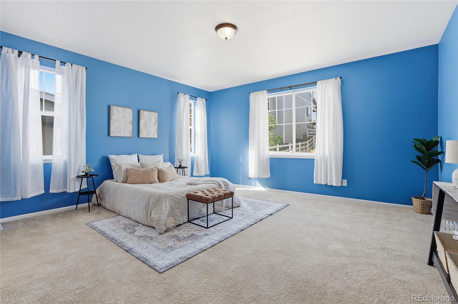 MLS Image #15 for 5117  coltin trail,castle rock, Colorado