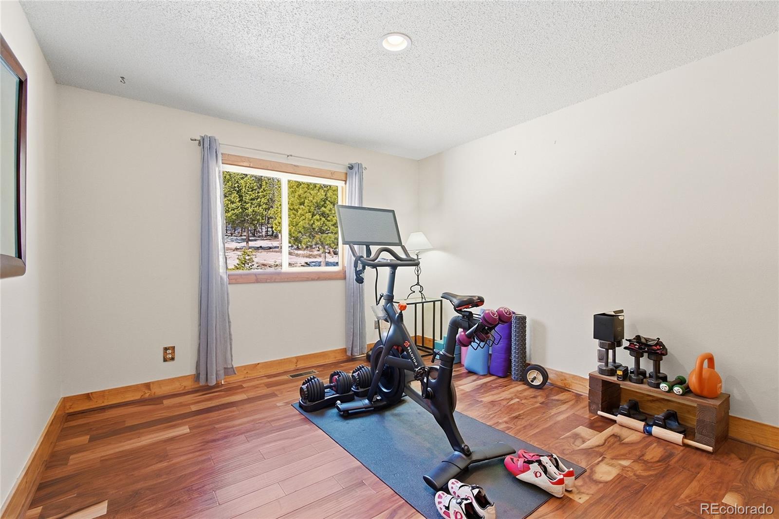 MLS Image #17 for 8790 s warhawk road,conifer, Colorado