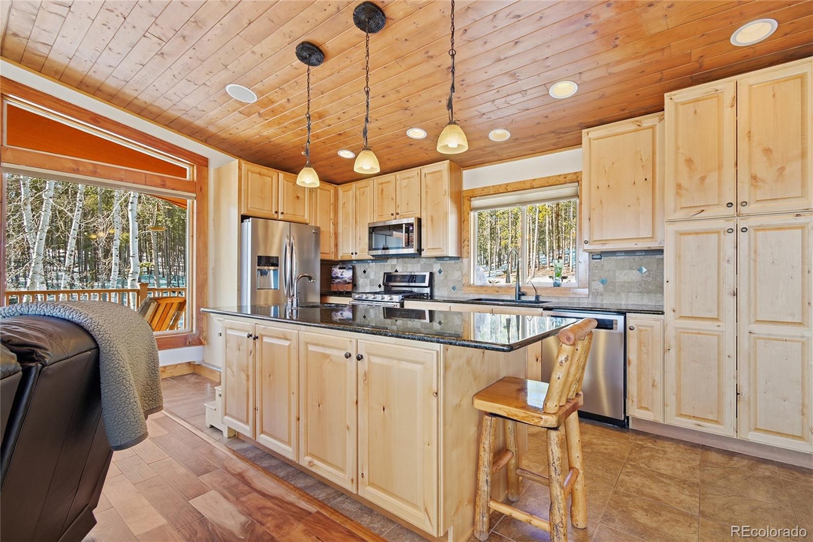 MLS Image #5 for 8790 s warhawk road,conifer, Colorado