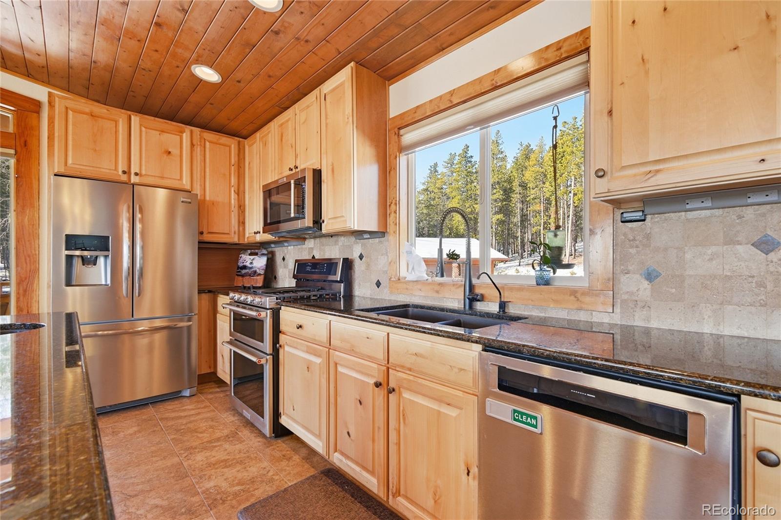 MLS Image #9 for 8790 s warhawk road,conifer, Colorado