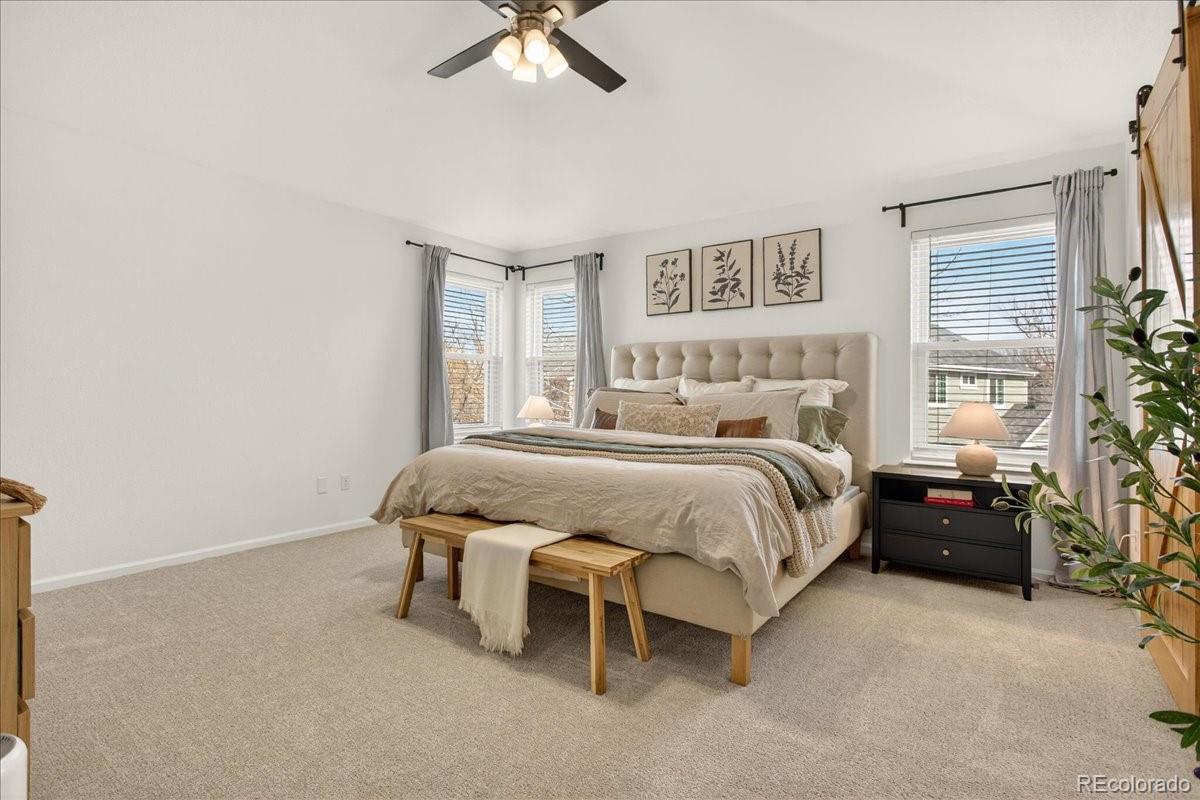 MLS Image #13 for 9800  cheewall lane,parker, Colorado