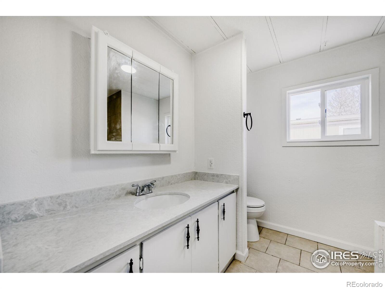 MLS Image #22 for 1106  macdavidson circle,dacono, Colorado