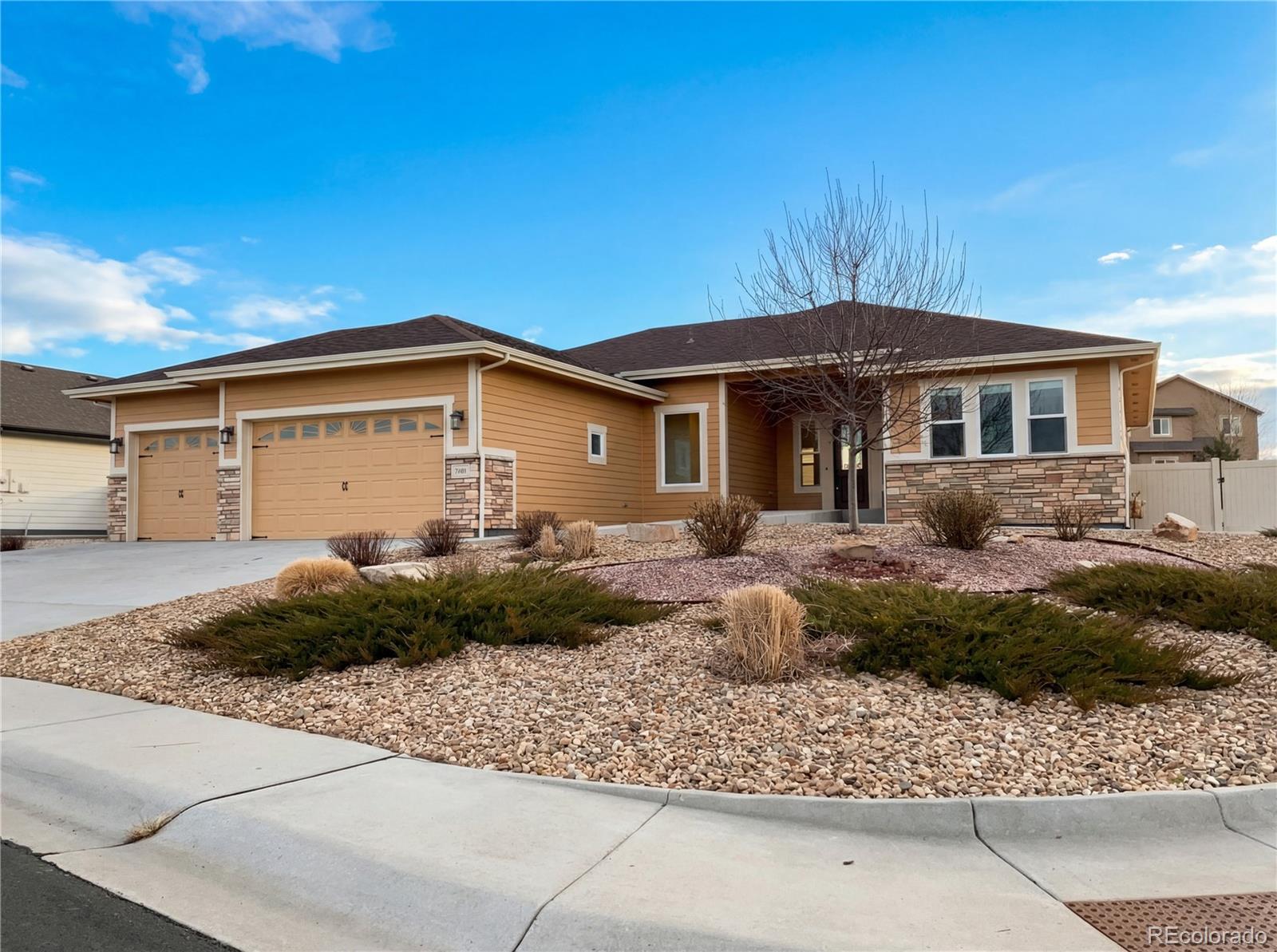 MLS Image #7 for 7401  turnbull court,windsor, Colorado
