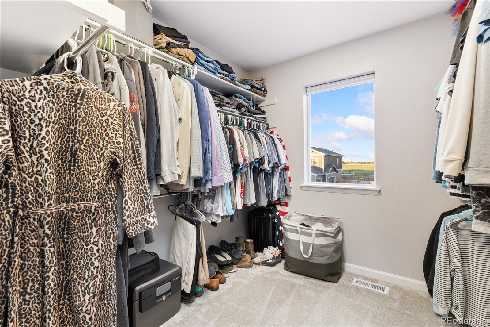 MLS Image #22 for 1495 s sunfield drive,milliken, Colorado
