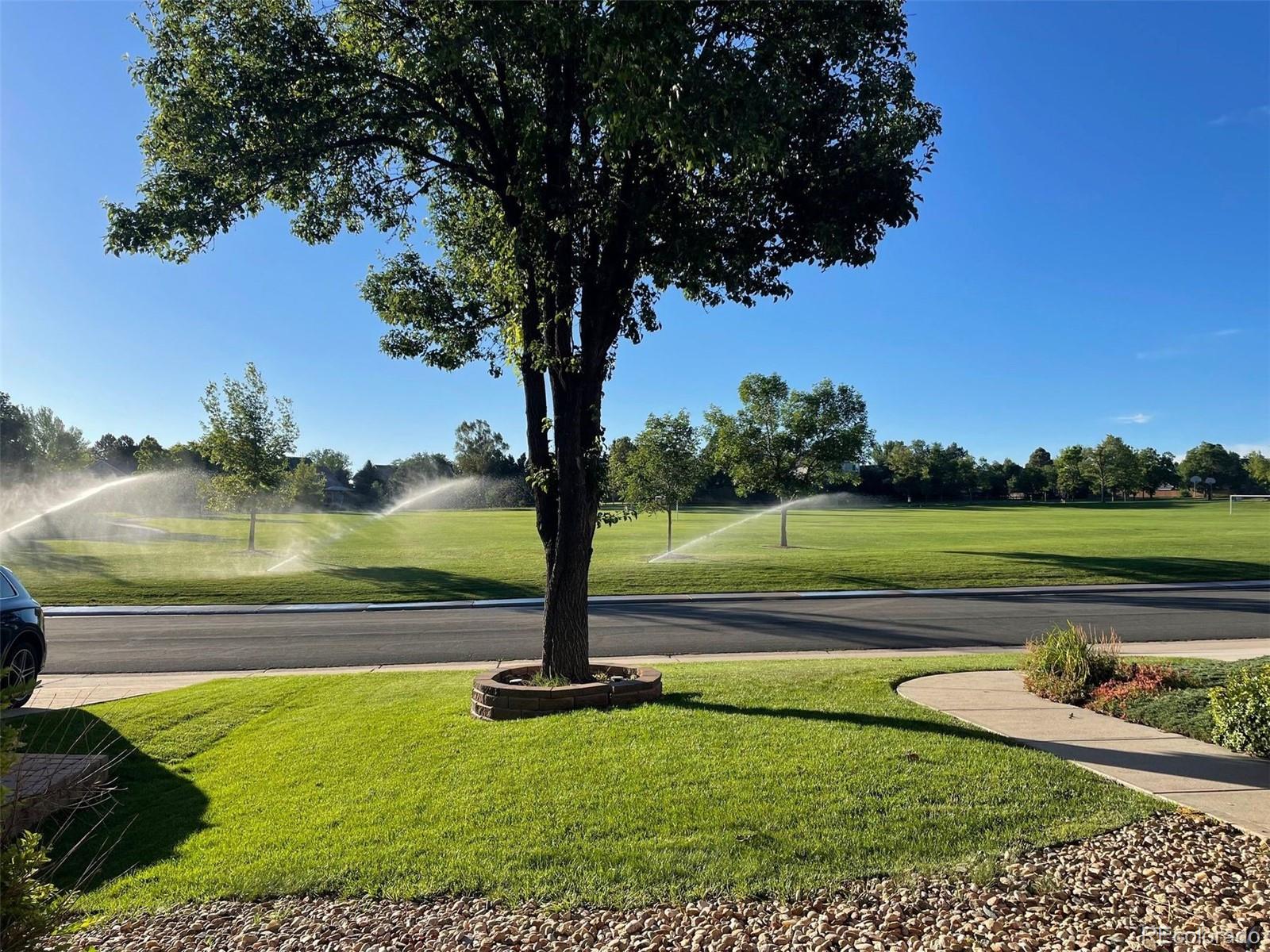 MLS Image #3 for 8919  redwing avenue,littleton, Colorado