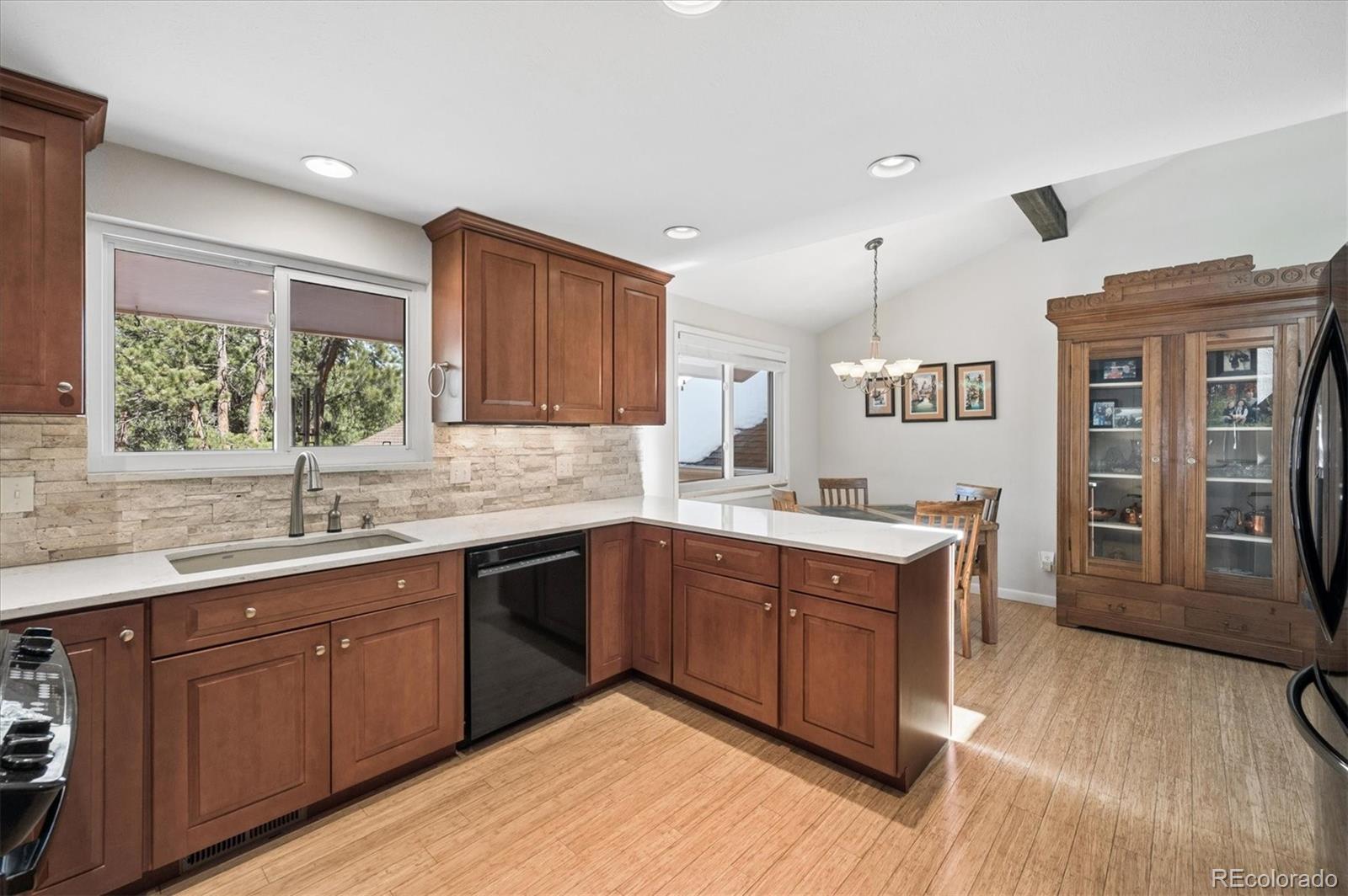 MLS Image #10 for 30163  canterbury circle,evergreen, Colorado