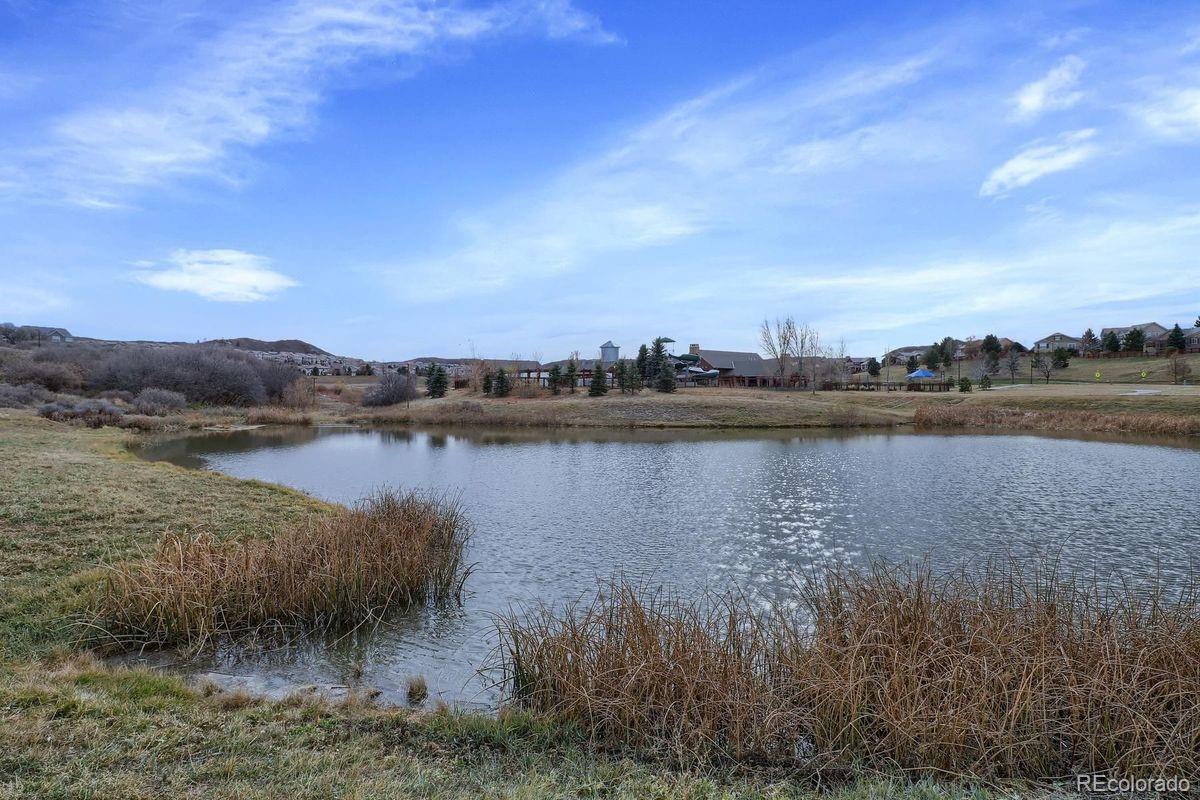 MLS Image #49 for 1935  candleglow street,castle rock, Colorado