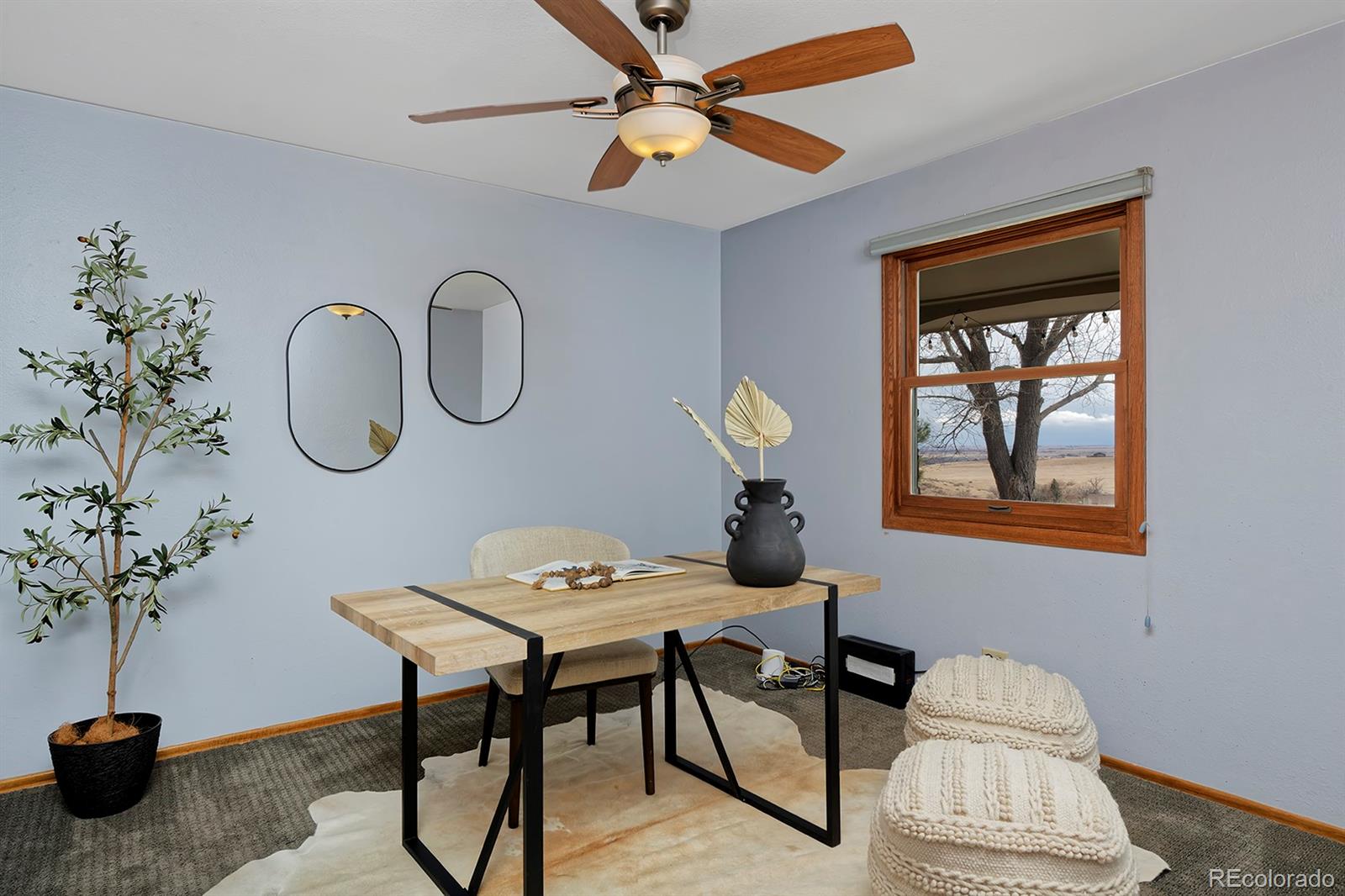 MLS Image #17 for 1525 s county road 27e ,berthoud, Colorado