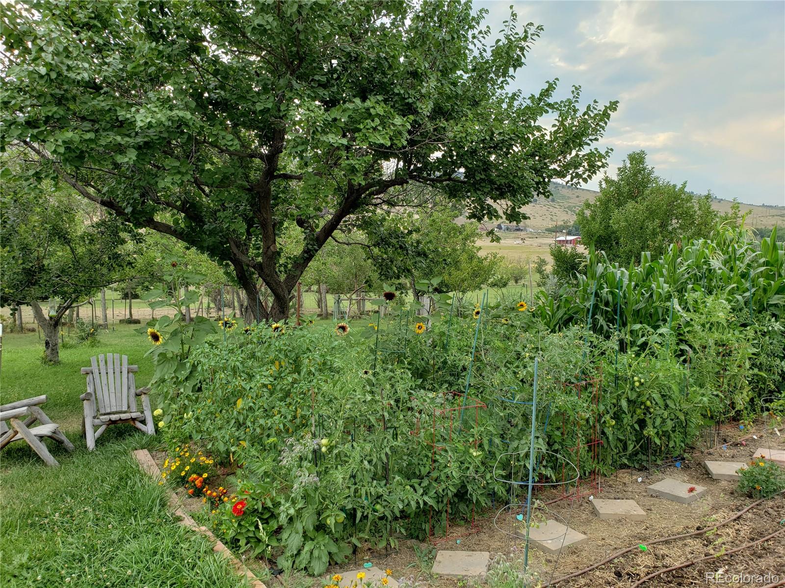 MLS Image #41 for 1525 s county road 27e ,berthoud, Colorado