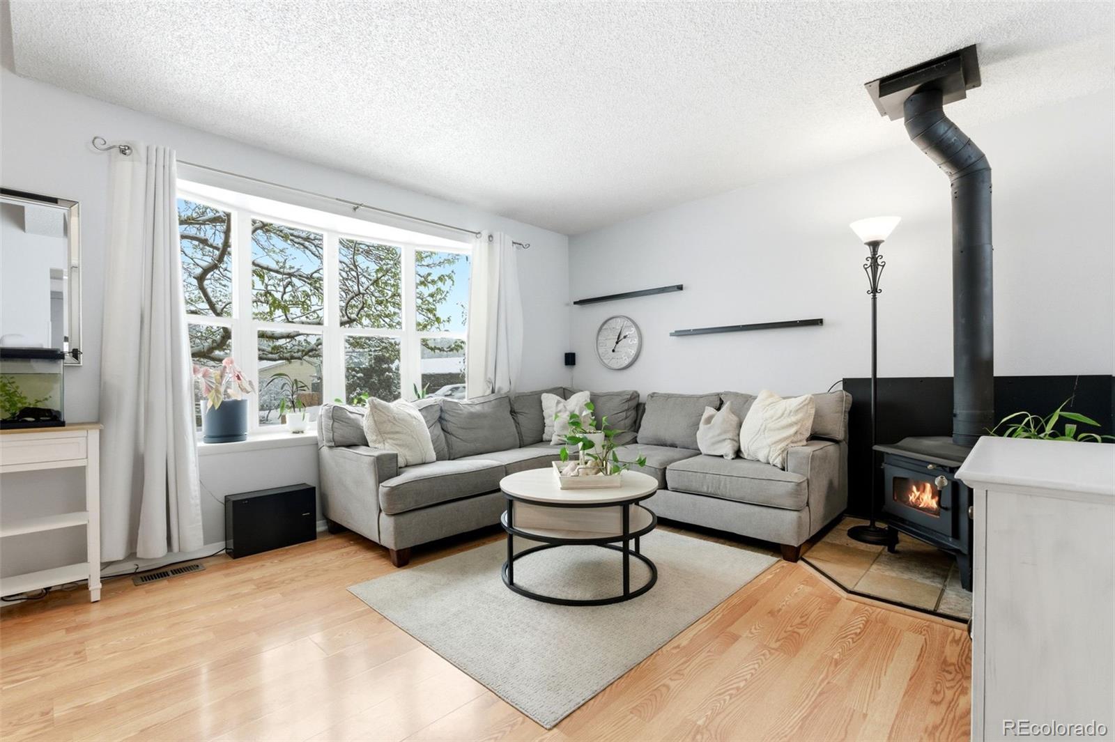 MLS Image #6 for 5062 s zang court,morrison, Colorado